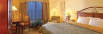 Rosen Centre Resort