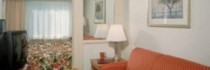 Springhill Suites International Drive