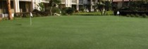 International Plaza Resort and Spa