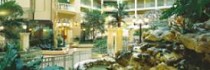 Embassy Suites International Drive
