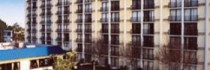 Rodeway Inn International