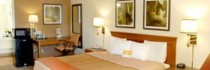 La Quinta Inn Houston Reliant Center/medical Center