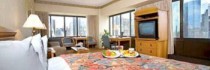Holiday Inn Chicago-mart Plaza