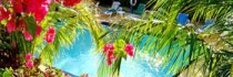 Caribbean Paradise Inn