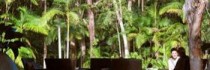 The Byron At Byron Resort And Spa