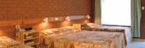 Best Western Pine Tree Motel