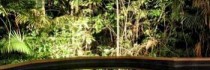 Daintree Wilderness Lodge