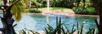 Cairns Beach Resort