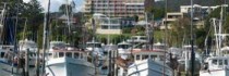 Marina Resort