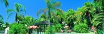 Desert Palms Resort