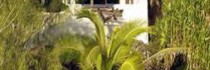 Pacific Resort Aitutaki - Member Of Small Luxury Hotels