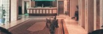 Pharae Palace